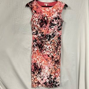 Signature Sadie (Dress Barn) Dress